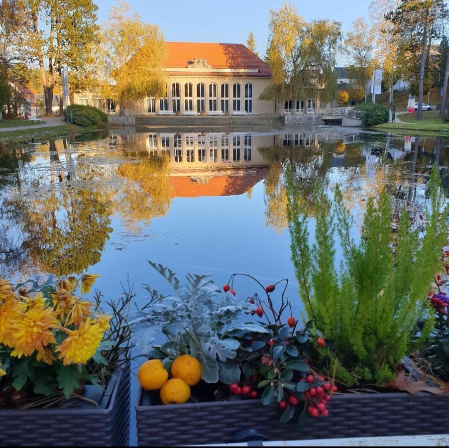 Hotel Garni Schloss Schoenberg Bad Brambach Ngoại thất bức ảnh
